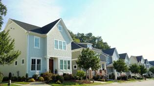 <b>Cras ornare tristique elit.</b> Lorem ipsum dolor sit amet, consectetuer adipiscing elit. Donec odio. Quisque volutpat mattis eros. Nullam malesuada erat ut turpis. Suspendisse urna nibh viverra non semper suscipit posuere a pede.